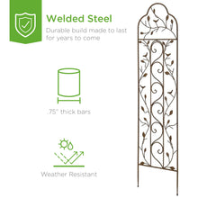 Load image into Gallery viewer, Set of Two Iron Arched Garden Trellis
